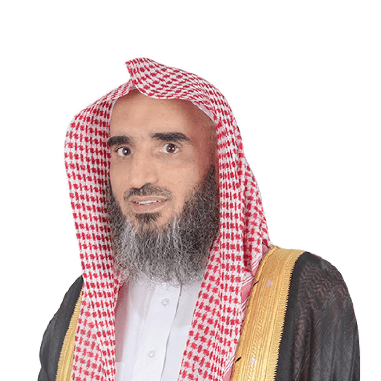 صاحب الفضيلة الشيخ د. صالح بن عبدالله اللحيدان